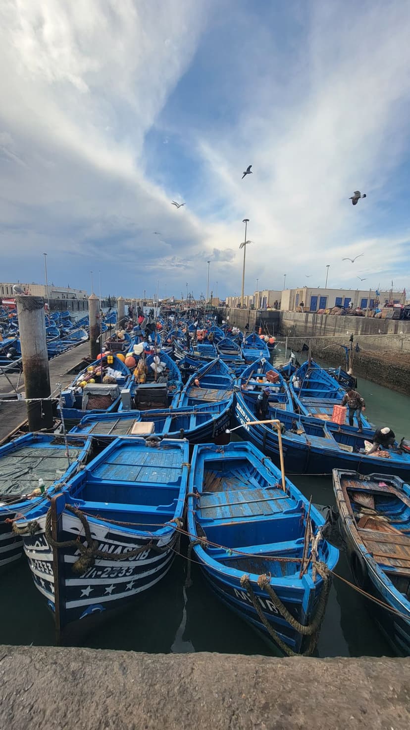 Der geschäftige Fischereihafen von Essaouira